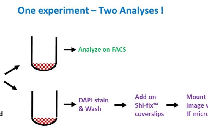 Combine Immunoflurescence and flow cytometry