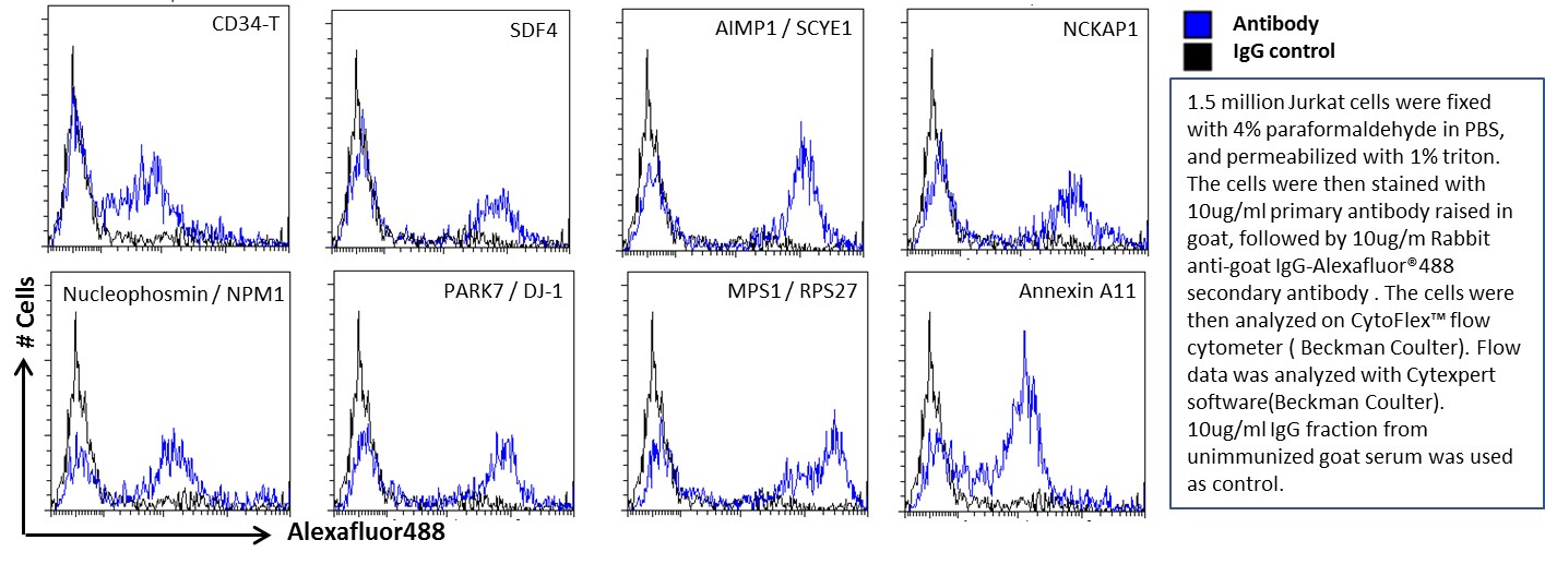 Flow Cytometry