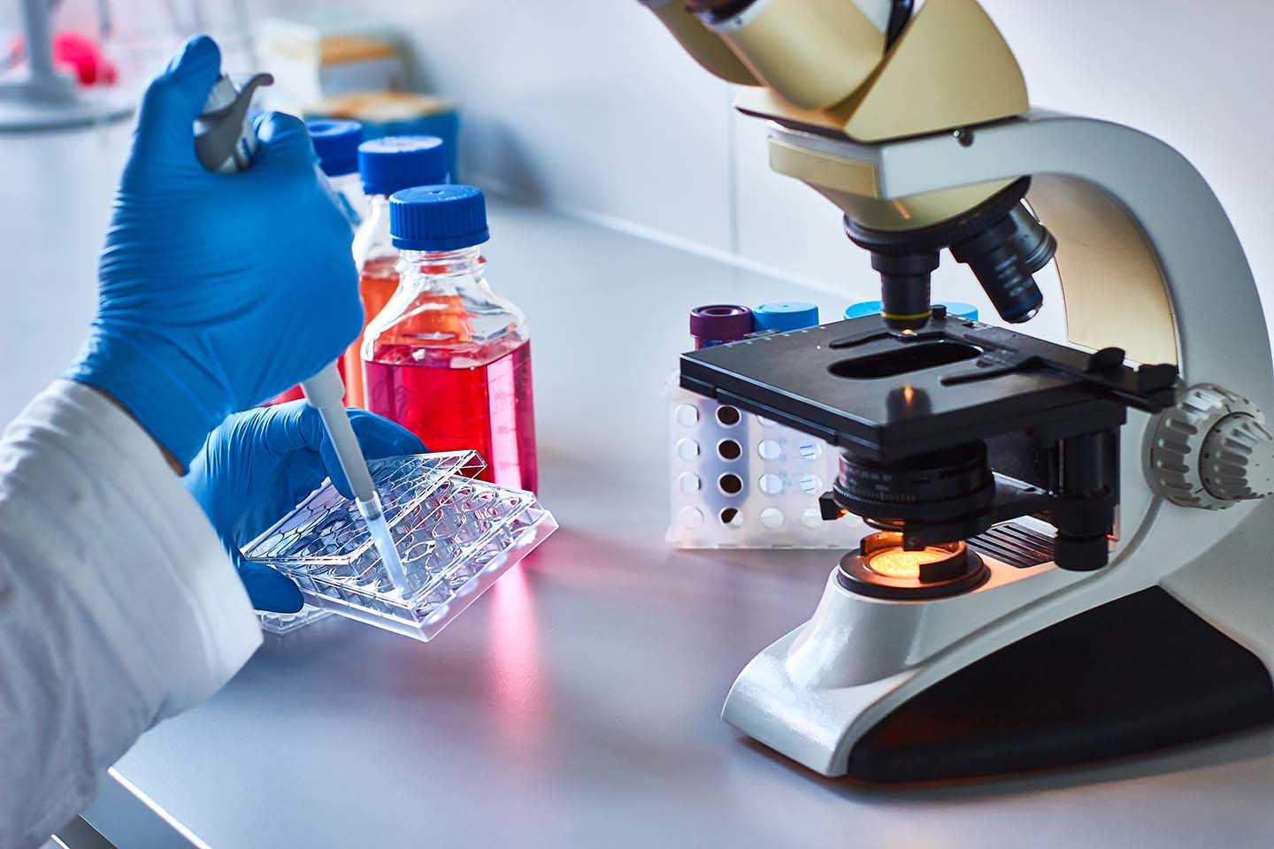 Cells – shikharbiotech.com