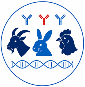 Custom Antibodies